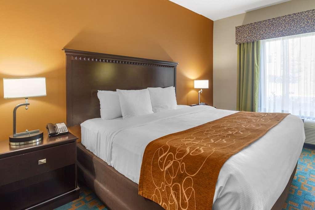 Comfort Suites Knoxville West - Farragut Room photo